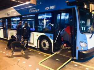 Photo d'un autobus électrique New Flyer devant lequel se trouvent deux personnes et leur chien-guide. Une personne en quadriporteur utilise la rampe avant pour monter dans l'autobus.