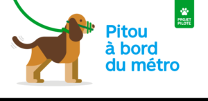 Image de la campagne du projet pilote pour admettre des chiens dans le métro 